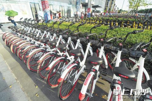 昨日下午，在開(kāi)福區(qū)萬(wàn)達(dá)廣場(chǎng)，成片的共享單車(chē)停放在廣場(chǎng)前坪。 長(zhǎng)沙晚報(bào)記者 黃啟晴 攝