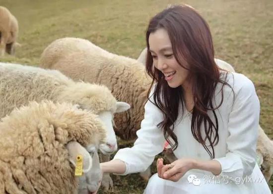 明星旅行糗事一籮筐 總有一個萌到你！
