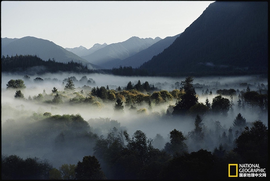 奧林匹克國家公園，華盛頓州攝影：Sam Abell，國家地理創(chuàng)意版