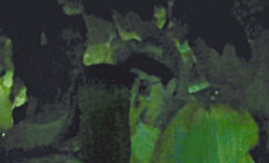 房祖名去年被港媒直擊在中環(huán)夜店與長(zhǎng)發(fā)妞互動(dòng)曖昧，女生正是Nana