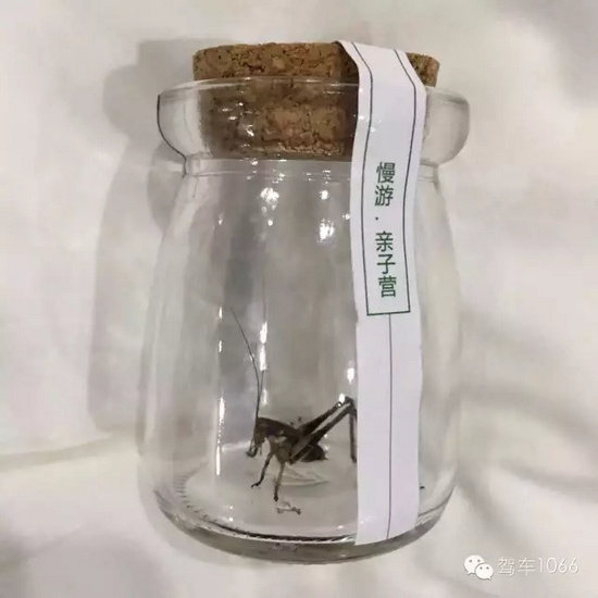 看看我的成果吧！