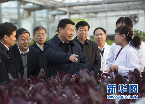  27日下午，習近平在山東省農業(yè)科學院智能化溫室了解農業(yè)科技創(chuàng)新情況。