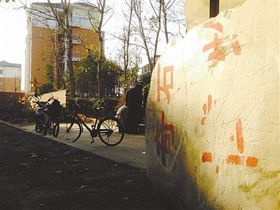昨日，“上海奇石盆景博物館”原址上，已矗立起小區(qū)樓盤(pán)，而刻著博物館名的巨石，廢棄在一旁。本版圖片/新京報(bào)記者 張永生 攝