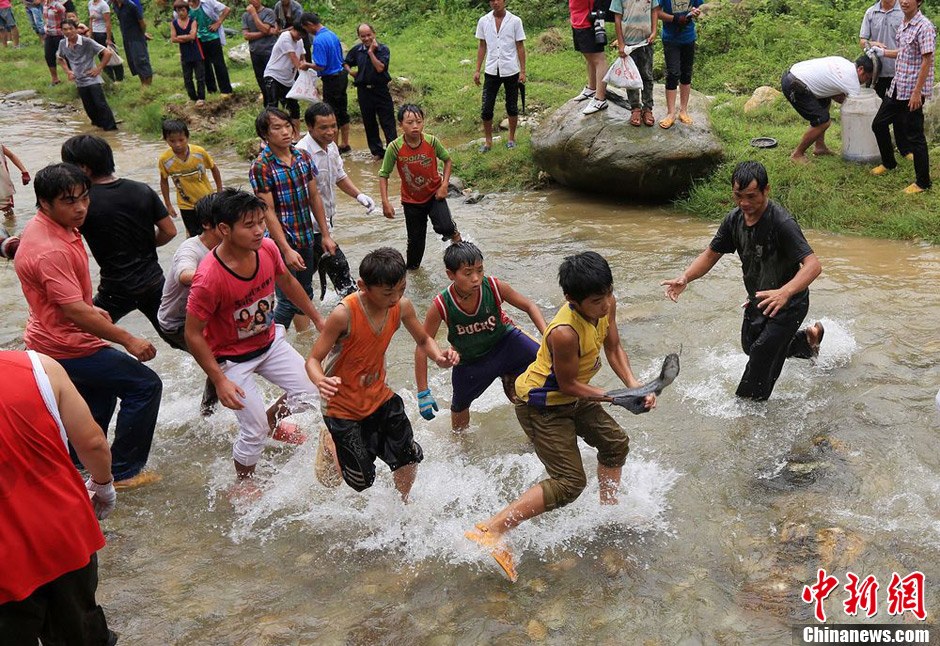 7月9日，村民在小河里摸魚搶魚。譚凱興 攝