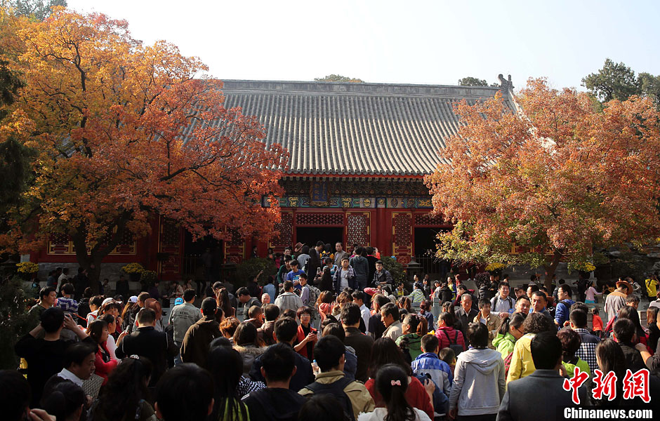 　10月26日，北京香山公園內(nèi)游客摩肩接踵。