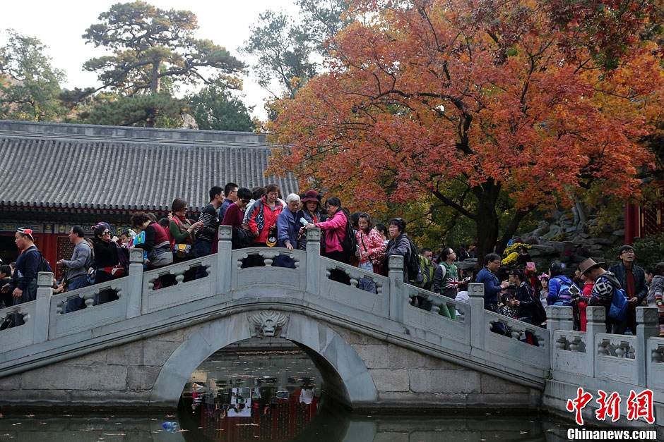 　10月26日，北京香山公園內(nèi)游客摩肩接踵。