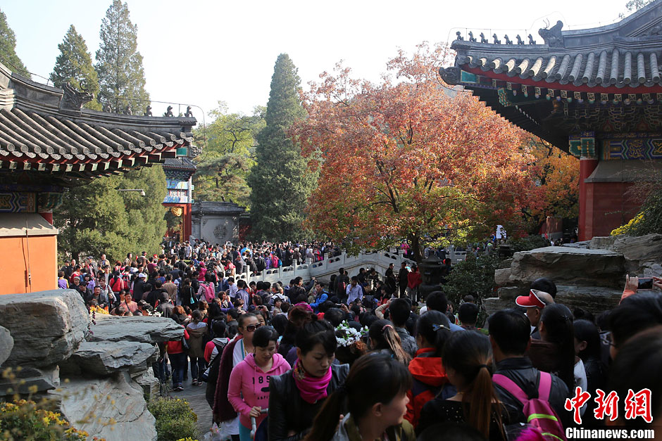 　10月26日，北京香山公園內(nèi)游客摩肩接踵。