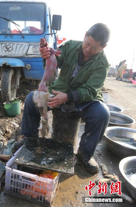 圖為12月1日，104國道靜?？h城附近，顧客挑好后，商販拎著死兔將皮完整地扒下來。田寶希 攝 圖片來