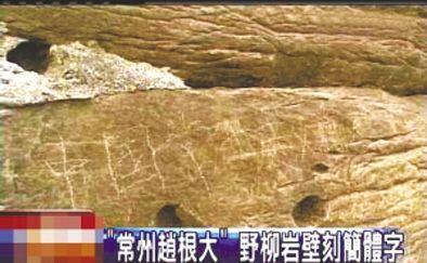 “常州趙根大” 2009年3月27日，臺(tái)灣北海岸野柳地質(zhì)公園巖壁上被刻下“中國(guó)常州趙根大”字樣。臺(tái)灣媒體將此事報(bào)道后，趙根大公開(kāi)道歉。