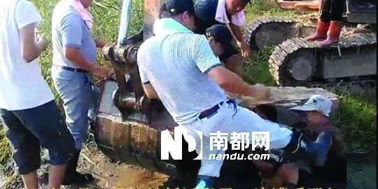 幾名戴黑帽的男子將一名老人推入水塘，后反復(fù)腳踹。