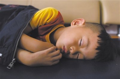 9月6日，等待錄制節(jié)目的多多躺在沙發(fā)上熟睡。新京報記者 侯少卿 攝