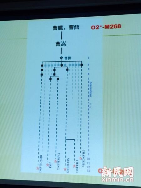 圖說：復旦課題組發(fā)布曹操家族DNA研究結果。新民網 記者 李欣 攝
