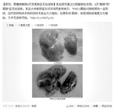 昨天，一則“霧霾使鮮肺6天變黑肺”的新聞在網(wǎng)上引發(fā)熱議。網(wǎng)絡(luò)截圖