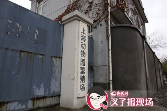 圖說(shuō)：新民網(wǎng)記者趕到時(shí)，上海動(dòng)物園繁殖場(chǎng)大門緊閉。新民網(wǎng) 記者 蕭君瑋 攝