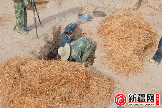 考古人員正在清理麥稈。（圖由中國科學(xué)院人文學(xué)院科技室與科技考古系提供）