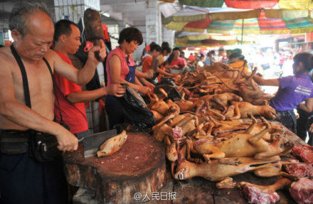 玉林狗肉節(jié)。