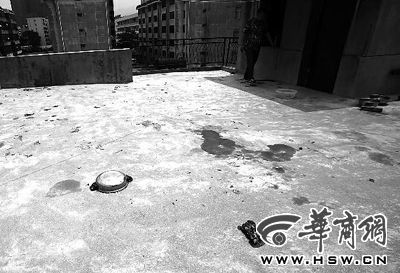 藏獒就養(yǎng)在這個(gè)樓頂，孩子從欄桿處墜落 本報(bào)記者 趙航 攝