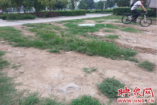 公園內大片草坪遭到破壞。