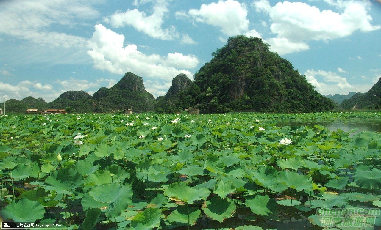 爸爸去哪兒？親密接觸荷花仙子