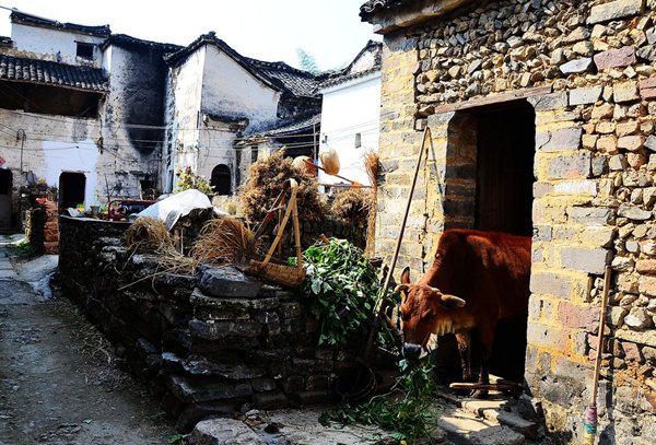 10大古村落，見(jiàn)證鶴壁舊時(shí)光