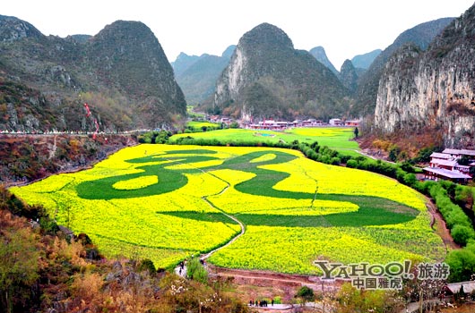 　　貴州油菜花景自以“立體多層,起伏跌宕”的油菜花景觀著稱。(圖片來(lái)源:CFP)