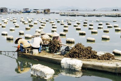 以漁為生，造就了他們不同于內(nèi)地的口味