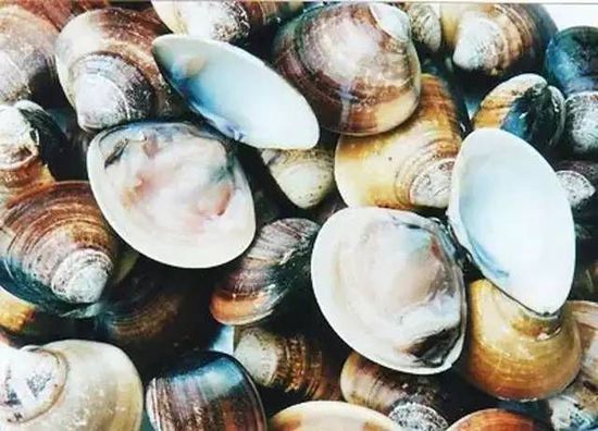 秋季最適合吃的海鮮是這10種 你吃對了嗎？