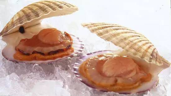 秋季最適合吃的海鮮是這10種 你吃對了嗎？