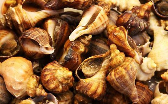 秋季最適合吃的海鮮是這10種 你吃對了嗎？
