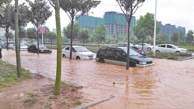 昨日，信陽突降暴雨，路面積水已淹沒輪胎。首席記者 何正權 通訊員 楊小燕 攝影