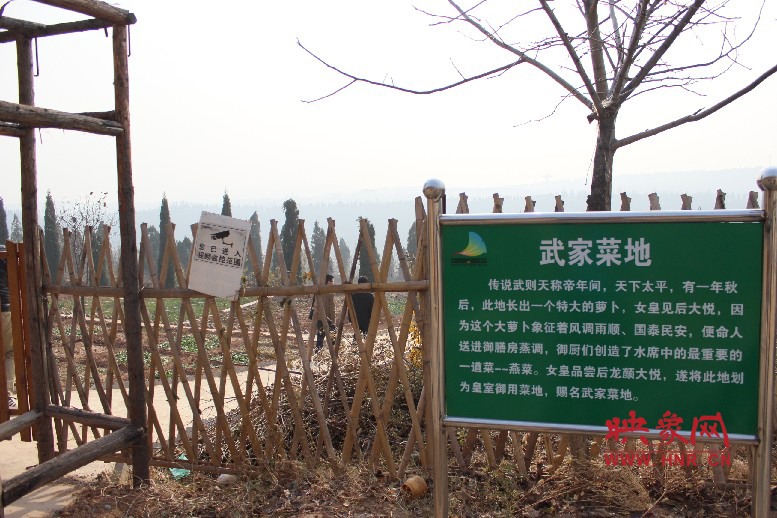 武家菜地就是這，據(jù)說(shuō)里面有個(gè)特大的蘿卜