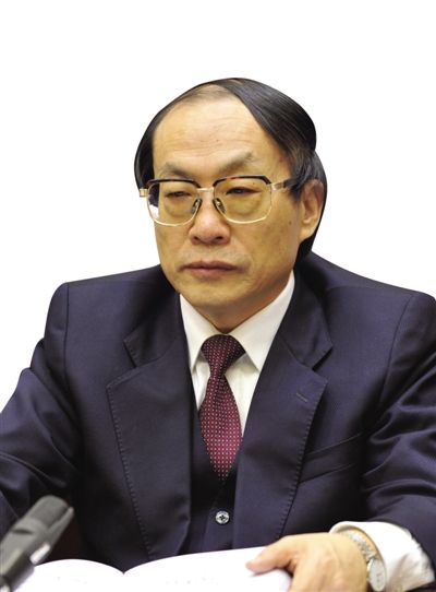 劉志軍（資料圖片）。新華社發(fā)