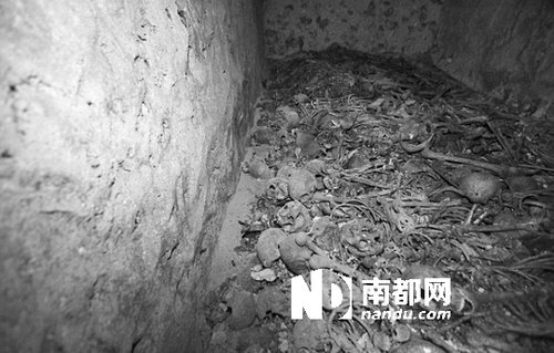 　5月29日，在以色列特拉維夫市雅法地區(qū)，一處集體墳墓被發(fā)現(xiàn)。