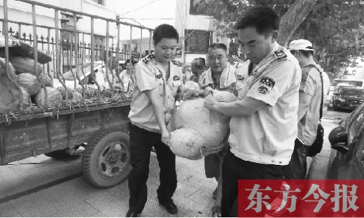 昨日，鄭州金水區(qū)執(zhí)法局的執(zhí)法隊員捐錢買瓜，替瓜農(nóng)解憂