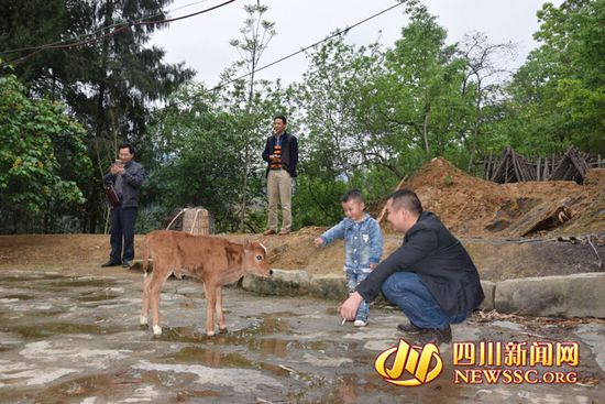 村里人知道后，前來(lái)看熱鬧
