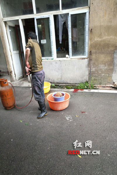 5月8日，男子在校園里殺狗，地上殘留一塊血跡。目擊者供圖。