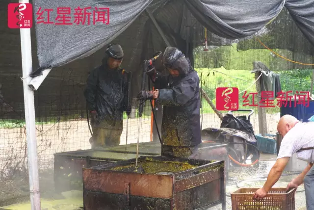 文玩核桃遇冷由幾萬一對降到5元沒人要？商戶否認(rèn)