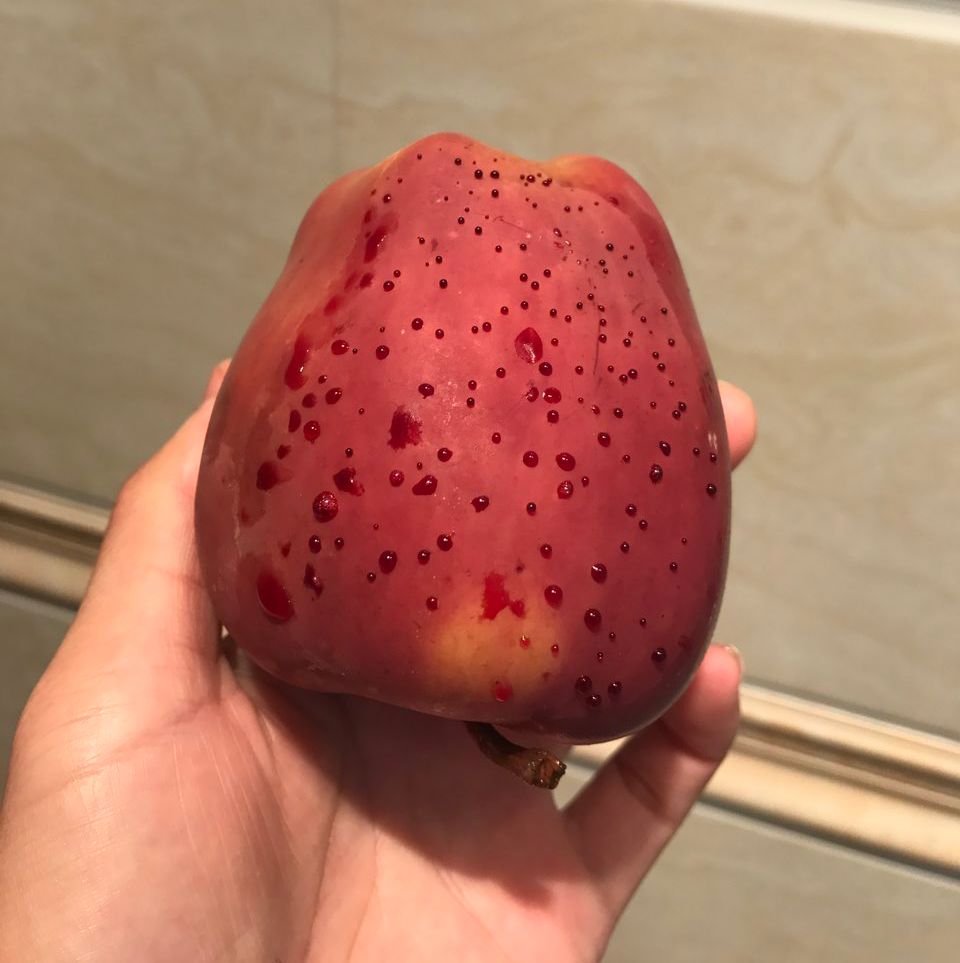 嚇懵！女子用熱水泡蘋果結(jié)果冒出血珠 咋回事？