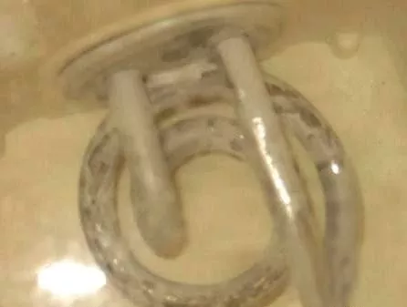 太惡心！女游客竟用酒店燒水壺煮自己的臟內(nèi)褲