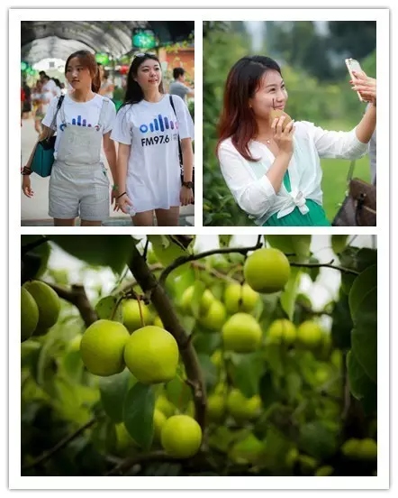 美女與香梨，你更愛哪一個？！