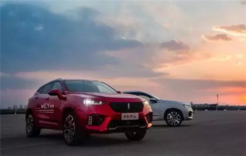 去年“蹦”出來的新汽車品牌們，現(xiàn)在活得怎么樣了？