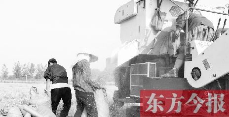 李正厚的妻子鮑本華（右）和一位村民拎著麻袋來到收割機(jī)前，接住傾倒出來的麥粒
