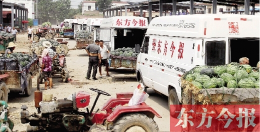 昨日，東方今報(bào)與河南福壽園聯(lián)合購(gòu)瓜，只有更多的市民和企業(yè)加入購(gòu)瓜行動(dòng)，瓜農(nóng)們才能早日回家