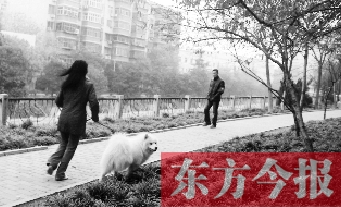 12月3日，鄭州市南關(guān)街熊兒河旁，一名遛狗的女子見到執(zhí)法人員檢查，迅速跑開