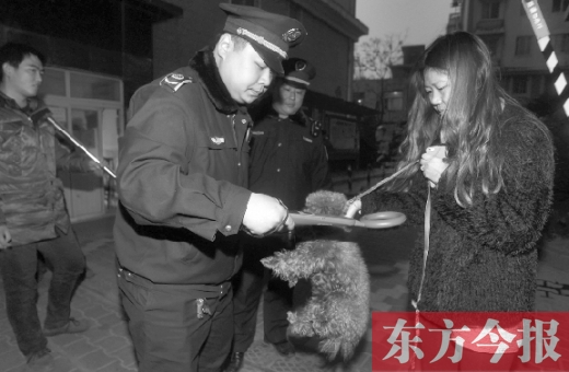 12月3日早上6點半，鄭州市南關(guān)街熊兒河旁，南關(guān)街辦事處的執(zhí)法人員對狗進行排查