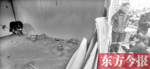 12月4日，鄭州市未來路與隴海路交叉口西側(cè)，執(zhí)法人員用吹管麻醉針對付一只藏獒