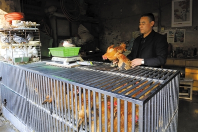 南京另一家農(nóng)貿(mào)市場內(nèi)待售的活雞。因南京出現(xiàn)H7N9禽流病例，買活雞的顧客減少。