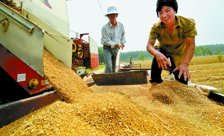 6月3日， 濮陽(yáng)開發(fā)區(qū)胡村鄉(xiāng)后范莊村的續(xù)秀萍看著新打的粒大飽滿的小麥喜上眉梢。