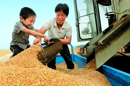 5月27日，確山縣劉店鎮(zhèn)前槽村郭景蓮和小孫子一起收獲小麥，豐收的喜悅寫在了臉上。