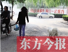 啟明一巷內(nèi)，一名女子帶著狗狗去買菜。狗隨地大小便，狗的主人未制止